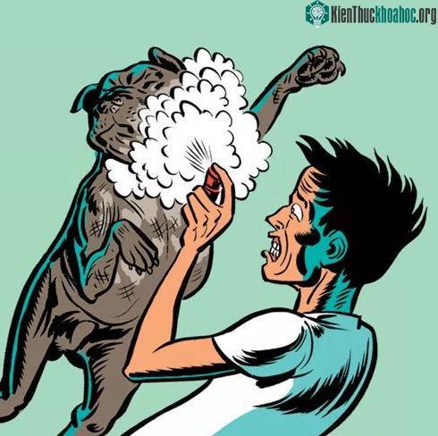 Hóa chất dạng xịt như nước hoa, gôm xịt tóc cũng có thể là vũ khí hữu hiệu.
