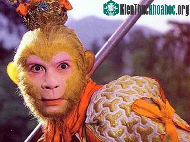 Phép thức địa