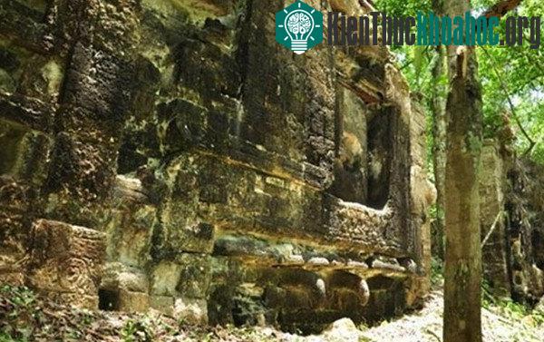 Hai thành phố cổ của người Maya.