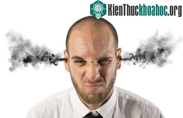 Lật tẩy những quan niệm "sai toét" mà ai cũng tin sái cổ