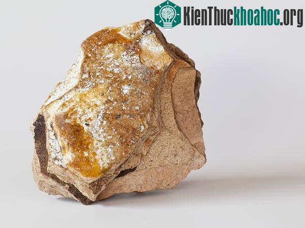 Hình dạng không mấy bắt mắt của long diên hương