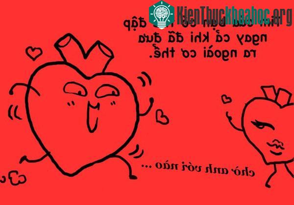 Sự thật "ngớ người" không phải ai cũng biết về cơ thể của mình