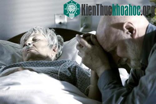 Hiểu về cái chết có thể làm giảm nỗi sợ hãi về nó. (Ảnh: Angela Morrow)