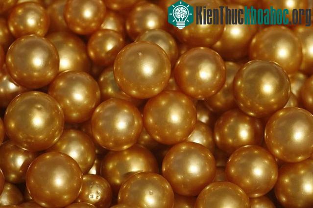 Doanh nhân Jewelmer là người duy nhất trên thế giới thành công trong việc sản xuất ngọc trai tự nhiên.