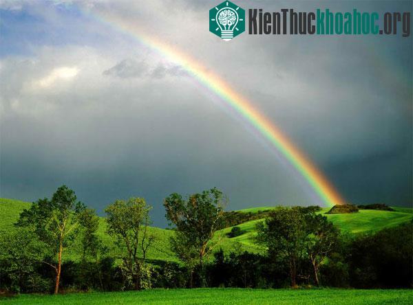 Mùi lạ thường xuất hiện sau những cơn mưa. (Ảnh: IStockphoto.com/jbarkway)