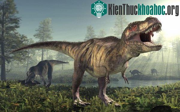 Con người có thể đánh bật được khủng long bạo chúa?