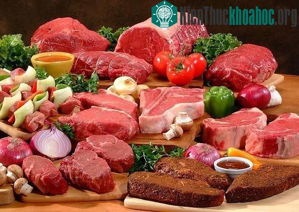Nếu không ăn thịt con người sẽ ra sao?