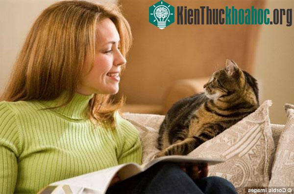Mèo có thể phân biệt giọng nói của chủ nhân với những người khác, nghĩa là chúng hoàn toàn có thể chú ý lắng nghe nếu người nuôi thử bắt chuyện