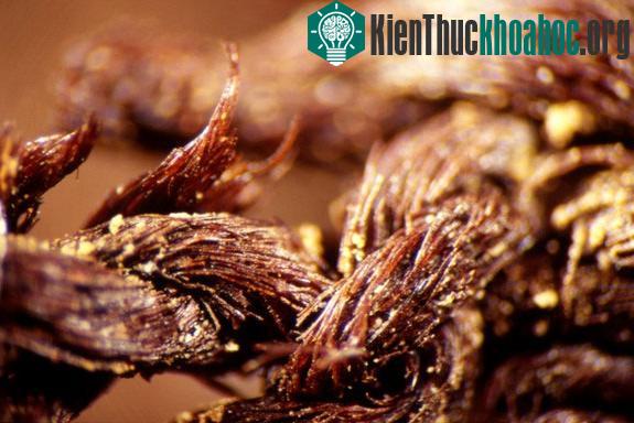 Một nghiên cứu mới đây của các chuyên gia cho thấy người Ai Cập tiền sử bắt đầu ướp xác cách đây 1.500 năm, sớm hơn so với dự đoán của giới khoa học trước đây. Họ rút ra kết luận đó sau khi nghiên ...