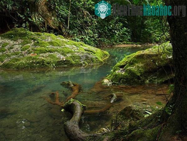 Nằm sâu trong rừng rậm Belize ở trung Mỹ là một hang động có tên Actun Tunichil Muknal hay còn gọi là ATM chứa nhiều xương người hơn 100 tuổi. Những bộ xương ấy được cho là của các nạn nhân trong n...
