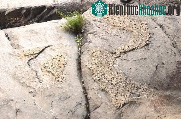 Bản đồ Việt Nam trên đá. (Ảnh: Nguyễn Đức Thọ/Vietnam+)