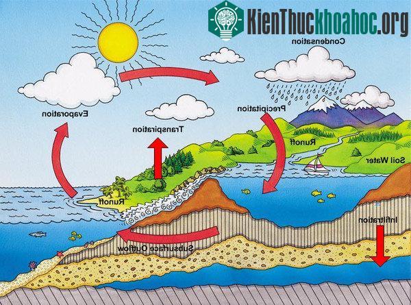 Vòng tuần hoàn của nước trên Trái đất