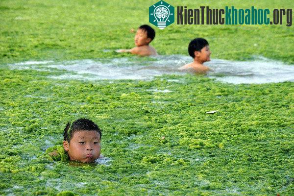 6 sự thật khiến bạn thay đổi cách nghĩ về việc sử dụng nước
