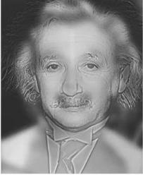 Albert Einstein&nbsp;hay&nbsp;Marilyn Monroe?