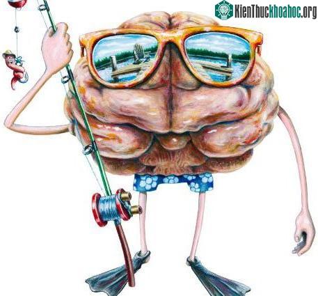 7 kỹ năng ghi nhớ giúp bạn có trí thông minh "tuyệt đỉnh"