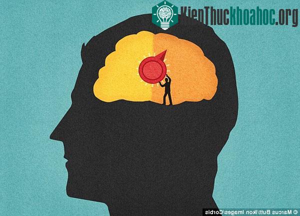 Các nhà nghiên cứu đã phát hiện công tắc "bật - tắt" trạng thái tỉnh táo, có ý thức của con người trong vùng hạch nền của bộ não. (Ảnh: Corbis)
