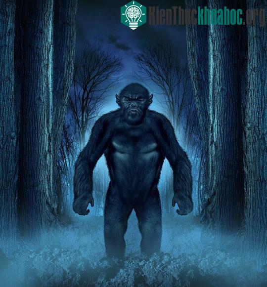 Các nhà khoa học cho rằng không có sự tồn tại dã nhân Bigfoot như mọi người vẫn nghĩ