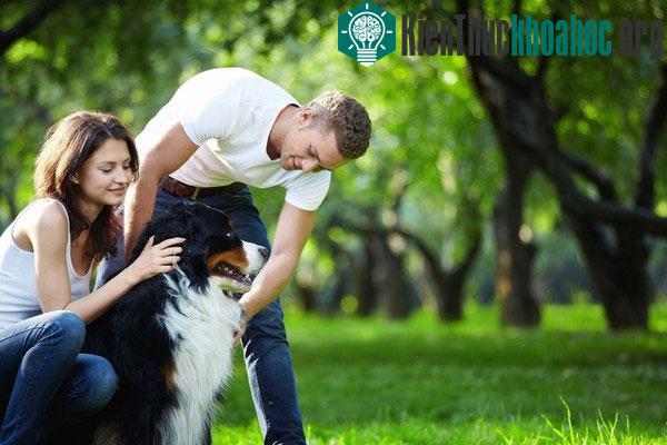 Nghiên cứu cho thấy tính cách "khó ưa" ở những người yêu chó ảnh 0