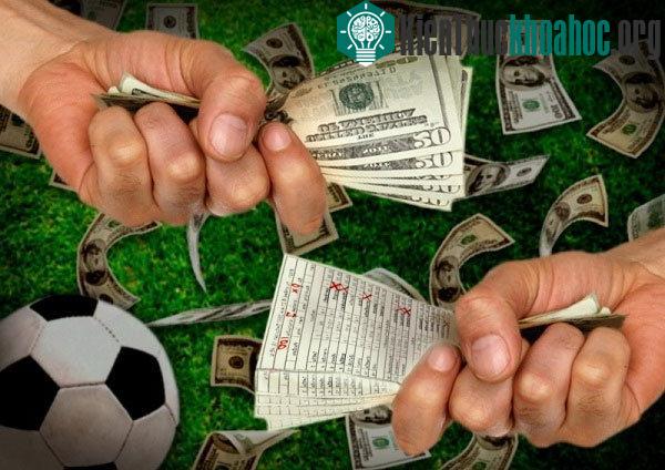 Sự thật "nhất định phải biết" về cá độ bóng đá