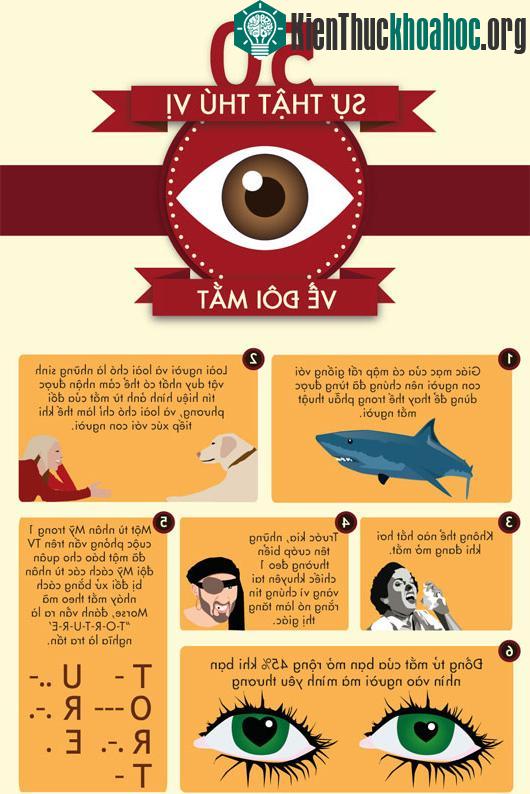 Năm mươi sự thật về đôi mắt