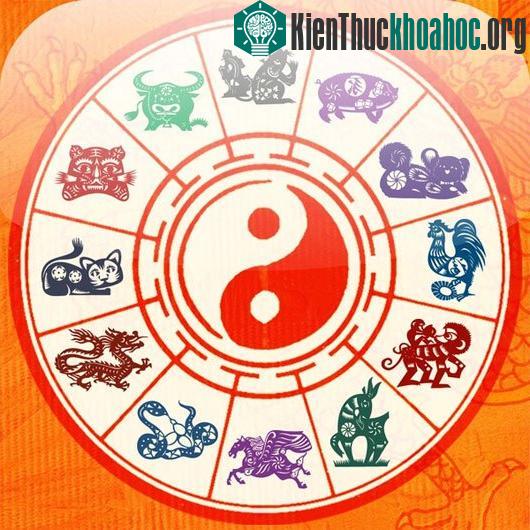 Xem "bói bài Tarot, tử vi, chỉ tay" qua góc nhìn khoa học