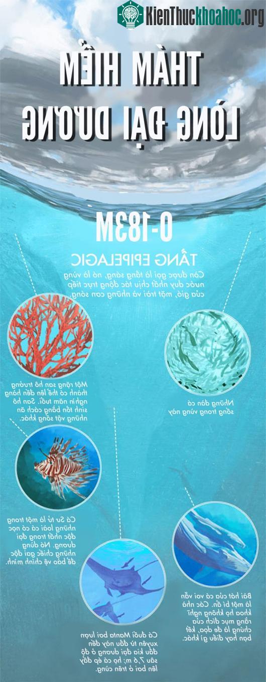 Thám hiểm đáy đại dương