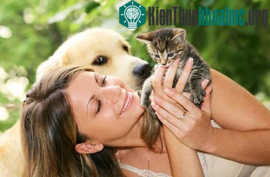 Những người nuôi mèo có xu hướng thông minh hơn những người nuôi chó