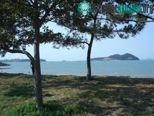 Thông thường, giữa đảo Jindo và Modo hoàn toàn không có bất cứ cầu nối nào