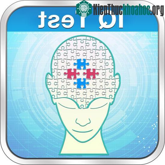 Nhiều người nhầm tưởng rằng, trí thông minh là một “đại lượng” cố định nhưng sự thật lại không phải như vậy.