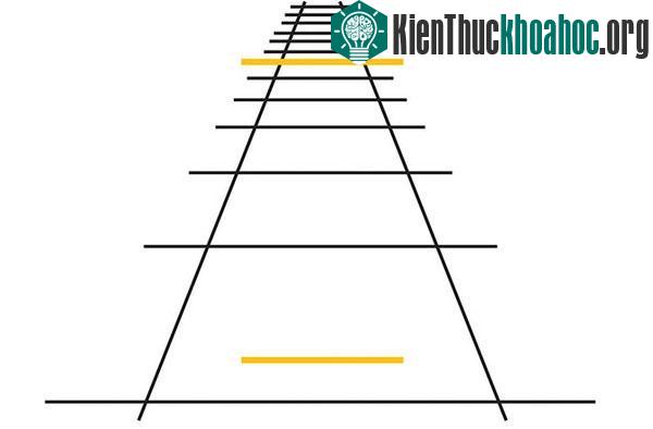 Cách não đánh lừa cơ thể mà ta không biết