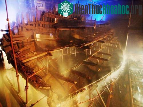 HMS Mary Rose