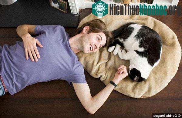 Một ngày nào đó, con người có thể nói chuyện với vật nuôi bằng cách sử dụng các công cụ giao tiếp có kích cỡ như điện thoại di động