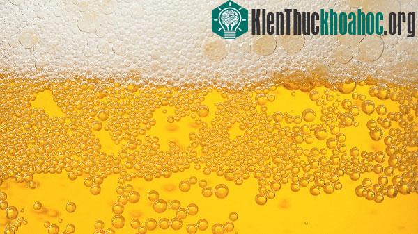 Tại sao bia ít được đóng trong chai nhựa?