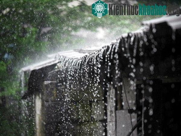 Cuộc sống kỳ lạ tại nơi “ẩm ướt nhất thế giới”