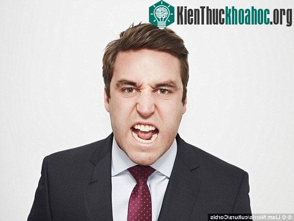 Phát hiện "lợi ích" không ngờ của sự tức giận ảnh 1