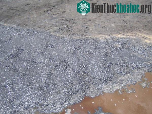 Giả thuyết mới về cách thức tồn tại của "sinh vật ngoài hành tinh"