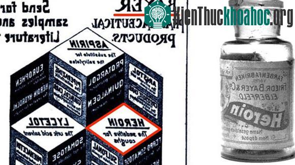 Giật mình những chuyện thật như đùa