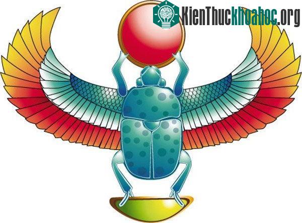 Lý giải tại sao người Ai Cập tôn sùng loài bọ hung ăn phân