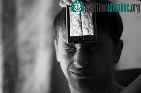 Liệu bộ não có bị "nổ tung" khi quá tải thông tin