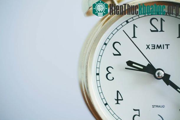 Khám phá cuộc sống khắc nghiệt thời Trung cổ