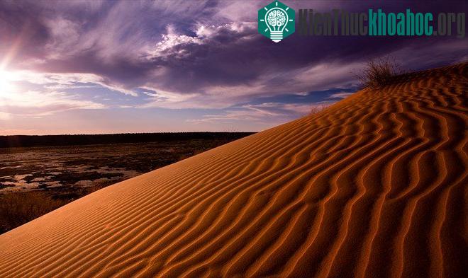 Queensland Outback