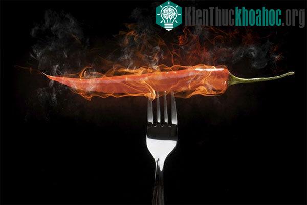Tại sao con người thích ăn cay?