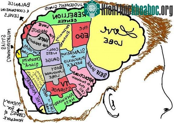 7 kỹ năng ghi nhớ giúp bạn có trí thông minh "tuyệt đỉnh"