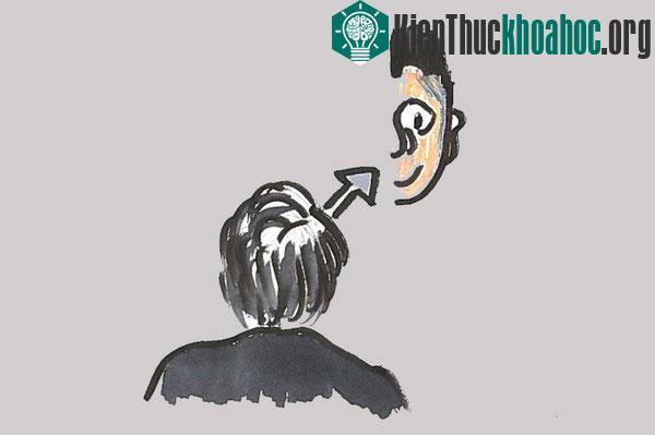 Thói quen nhìn lệch trái trong hội họa (left-side bias)