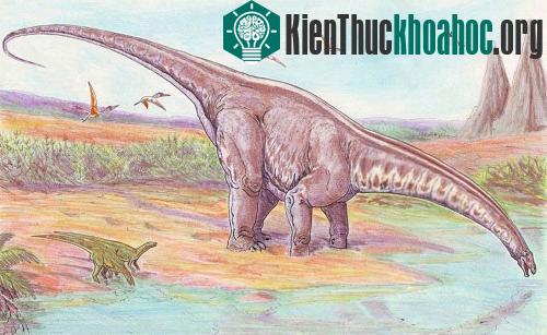 30 sự thật hiển nhiên thường bị hiểu sai (2)