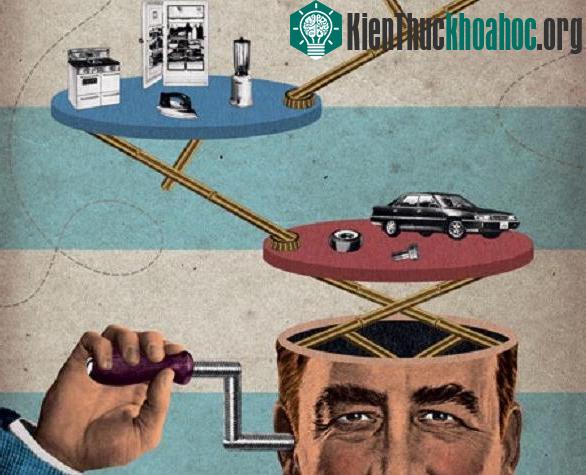 Check "độ sai lệch của não" mà ta không ngờ tới