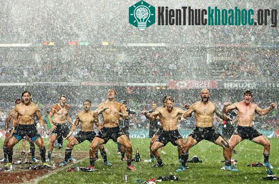 Ngay cả những người nổi tiếng ở New Zealand như các vận động viên Rugby cũng có khoảnh khắc... thật dễ thương