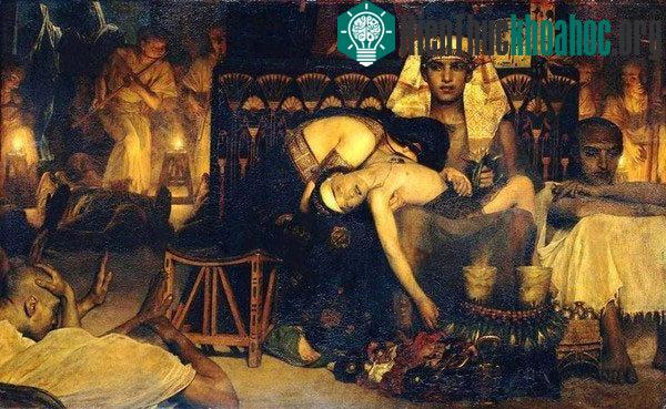 Ngay cả dòng dõi hoàng gia của Pharaoh cũng không thoát khỏi dịch bệnh.
