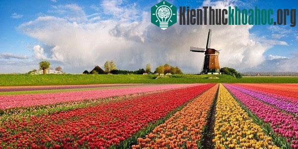 Ngửi mùi hương đặc trưng của các nước vòng quanh thế giới- ảnh 13