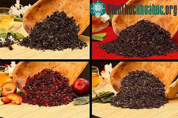 Ngược dòng lịch sử tìm hiểu về nguồn gốc của trà
